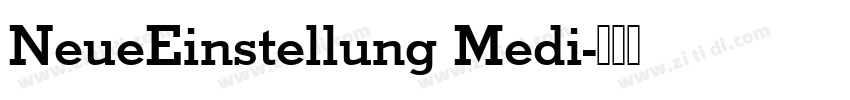 NeueEinstellung Medi字体转换
